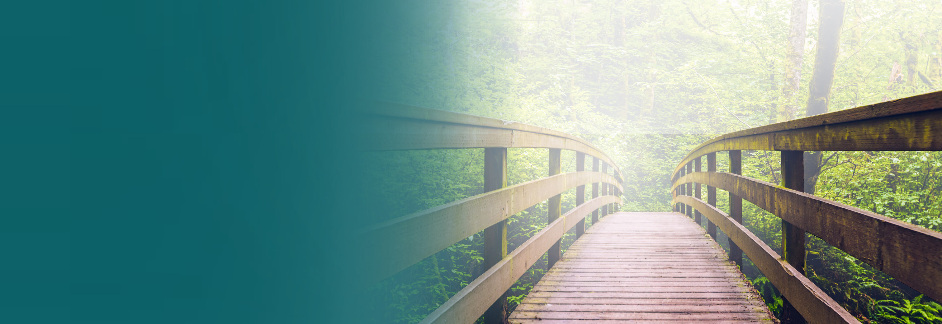 RRSP Contribution Deadline