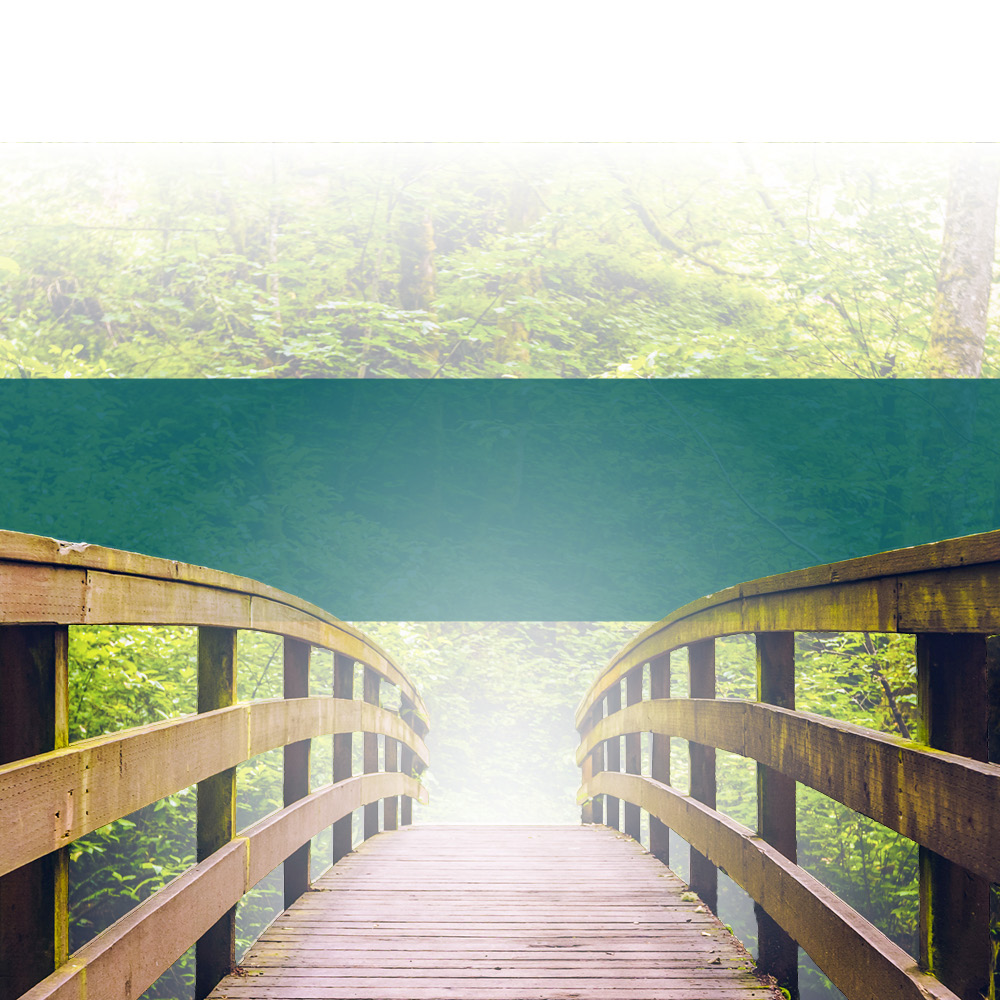 RRSP Contribution Deadline